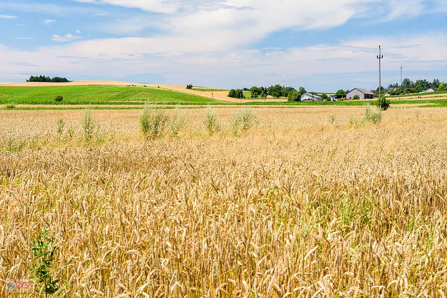 Kulzów - integralna część wsi Zawada Pilicka