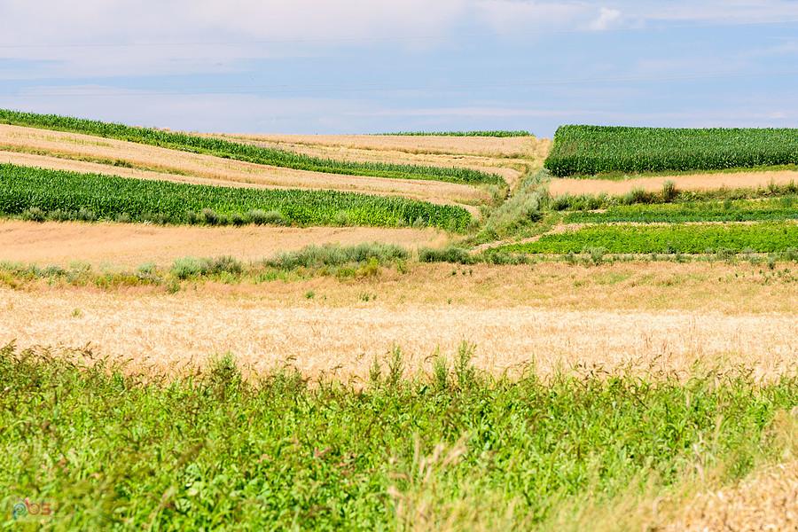 Kulzów - integralna część wsi Zawada Pilicka
