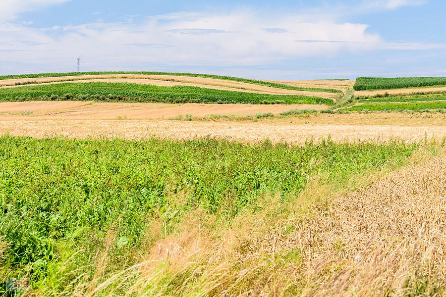 Kulzów - integralna część wsi Zawada Pilicka