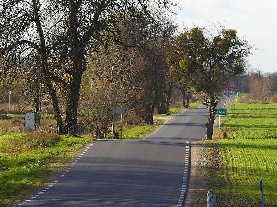 Falujący asfalt na drodze Lusowo - Lusówko