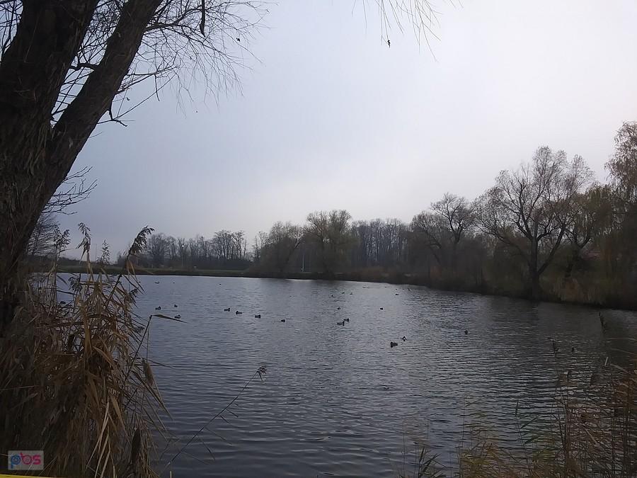 Staw w Zielonkach