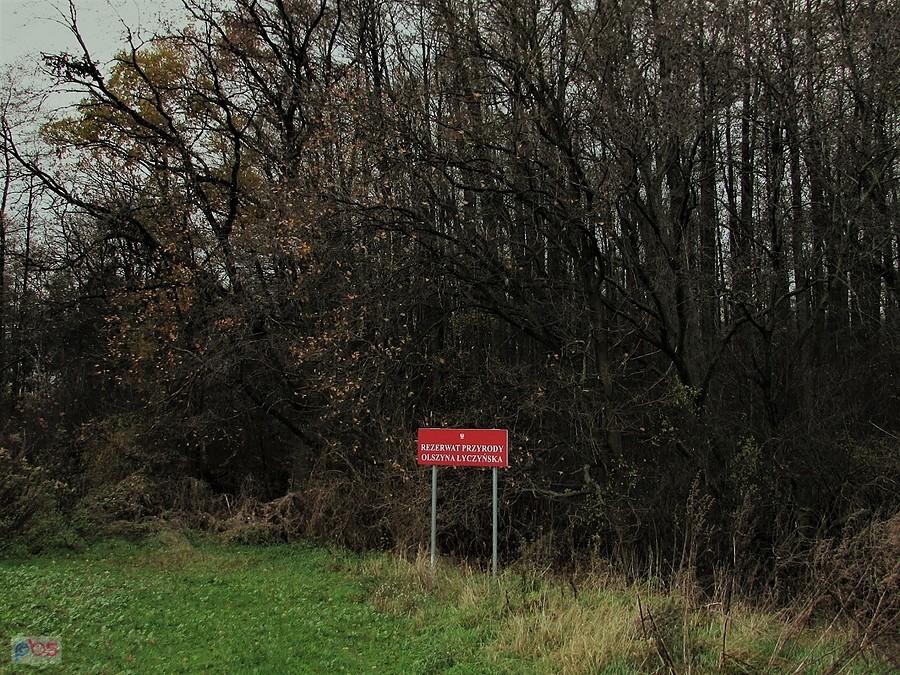 Rezerwat Olszyna Łyczyńska