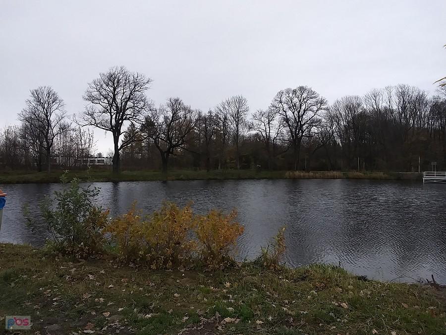 Staw w Ołtarzewie