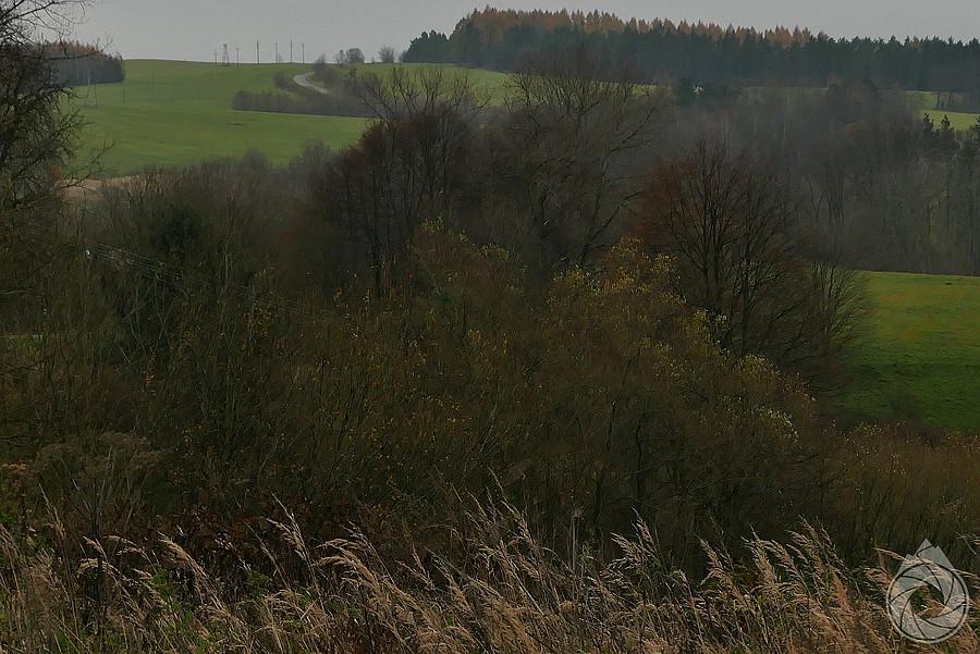 w oddali, na wzgórku, dalszy ciąg podjazdu nad Jawornik Ruski