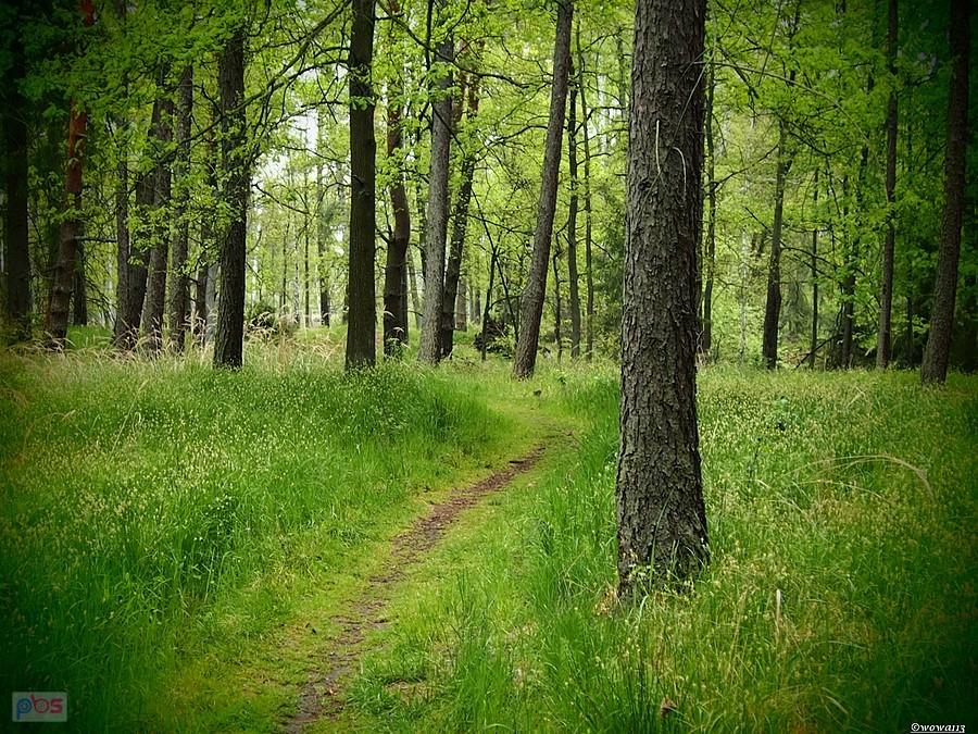 Czerwony szlak przez zatopioną kopalnię Bibiela -Pasieki