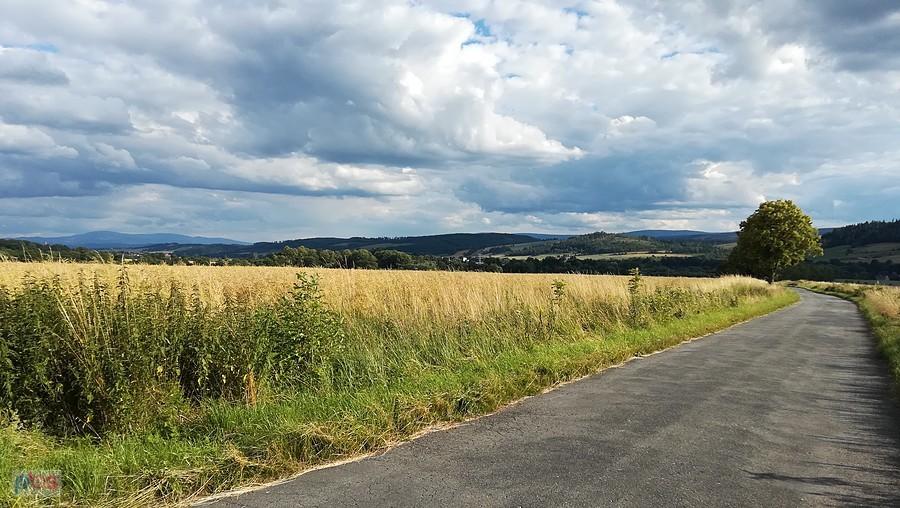 Widok na okolicę z podjazdu pod Bieganów