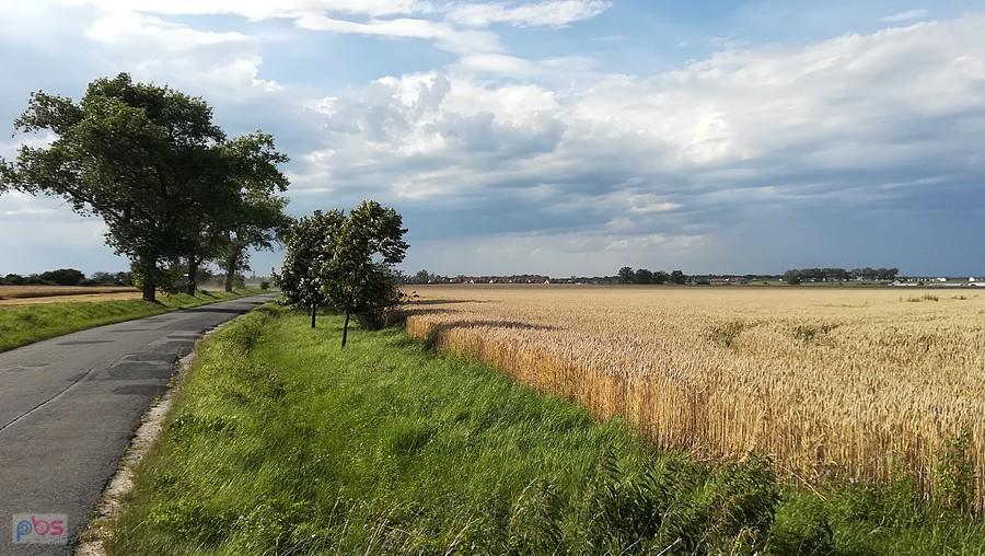 Letni widoczek nieopodal Smolca