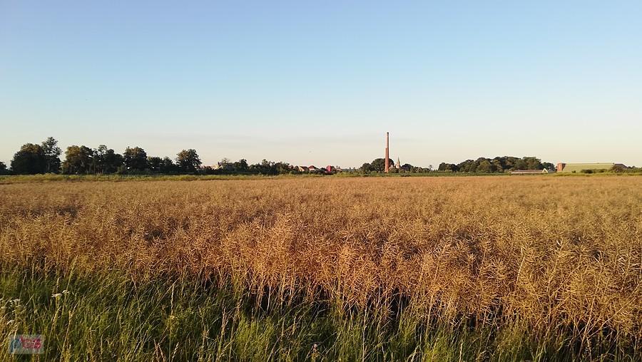 Pustków Żurawski - pałac i komin po dawnej cukrowni