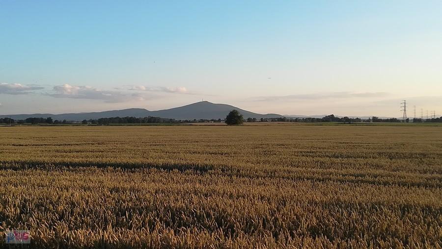 Wieczorna panorama Ślęży