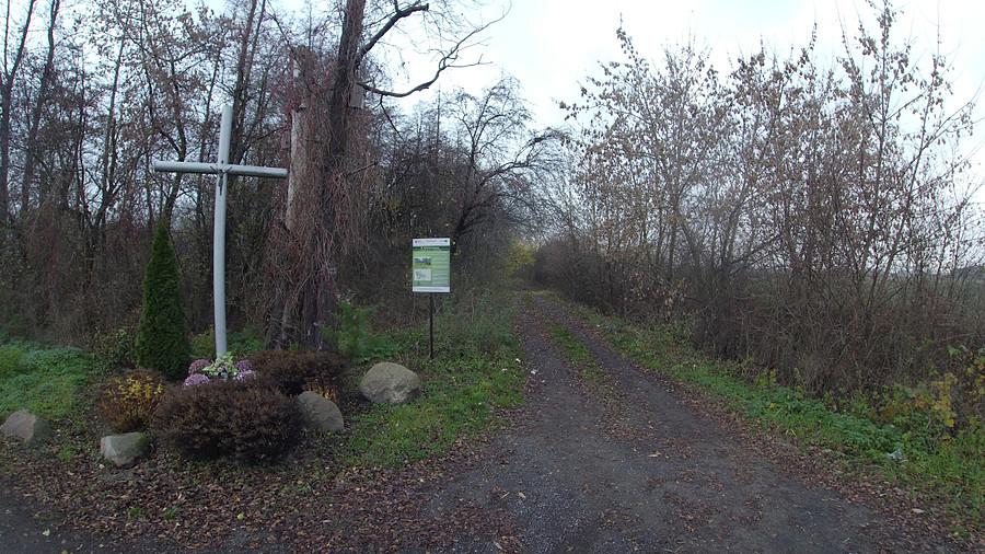 Uroczysko Rozłogi