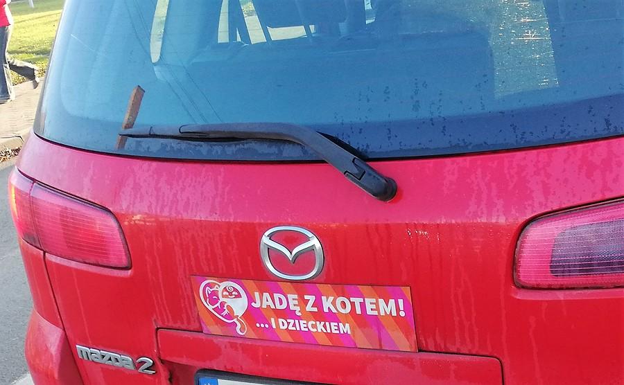 Za tego kota to szacun :)