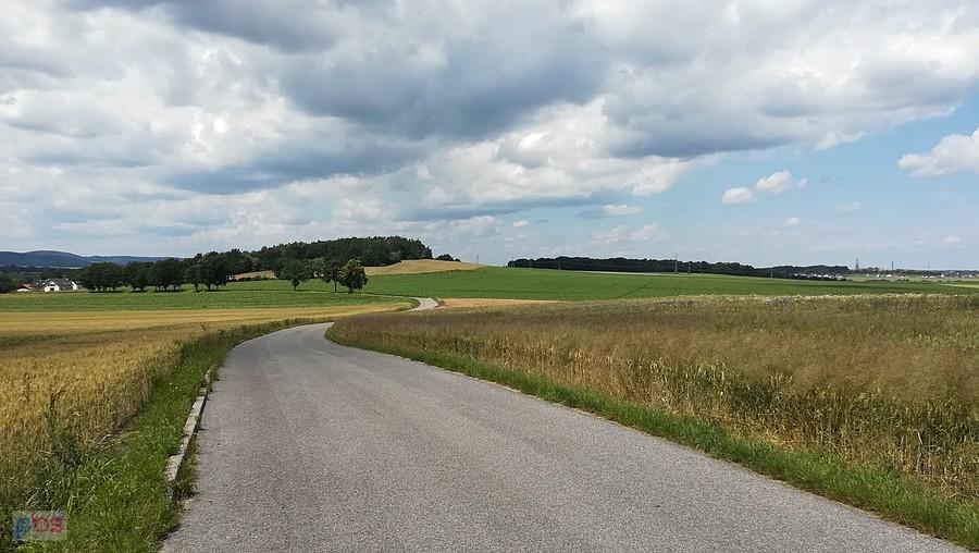 Szosa wijąca się niczym wąż nieopodal Krzyżowej