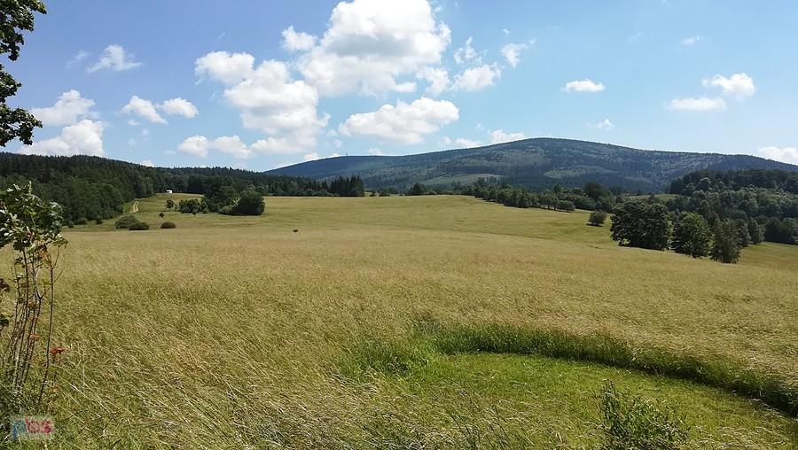 Widok na Wielką Sowę