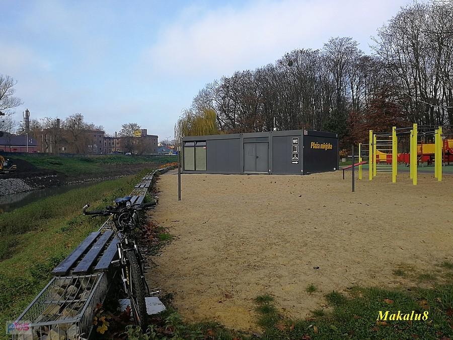 Racibórz, plaża nad Odrą