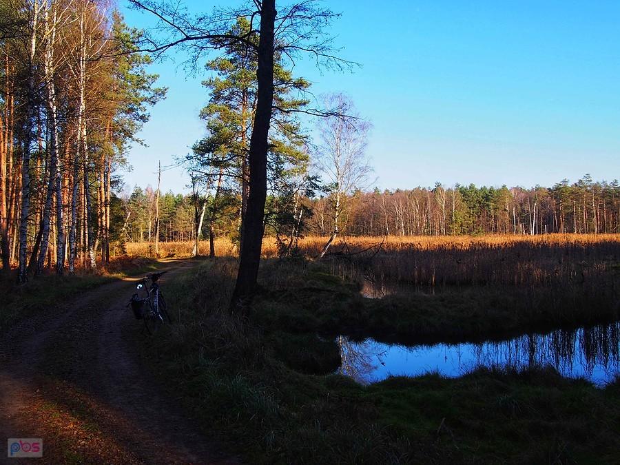 Uroczysko "Głęboki Dół"