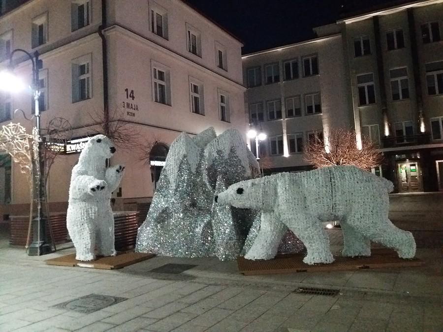 Rzeszowskie miśki.