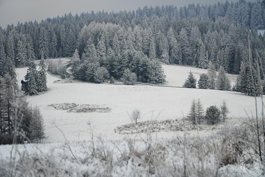gdzieś tammajaczy dalsza część podjazdu