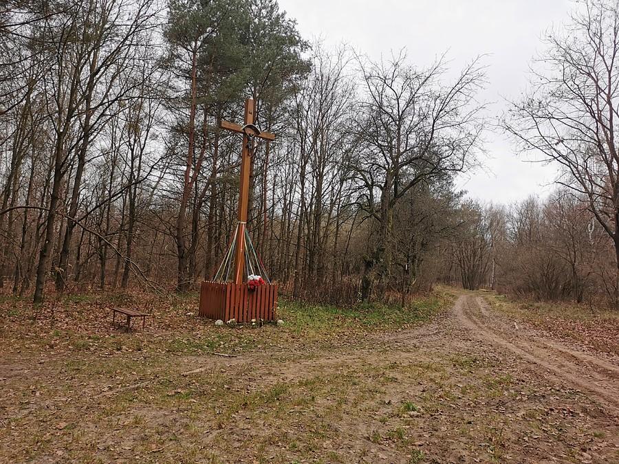 Krzyż nas rozstajach leśnych dróg
