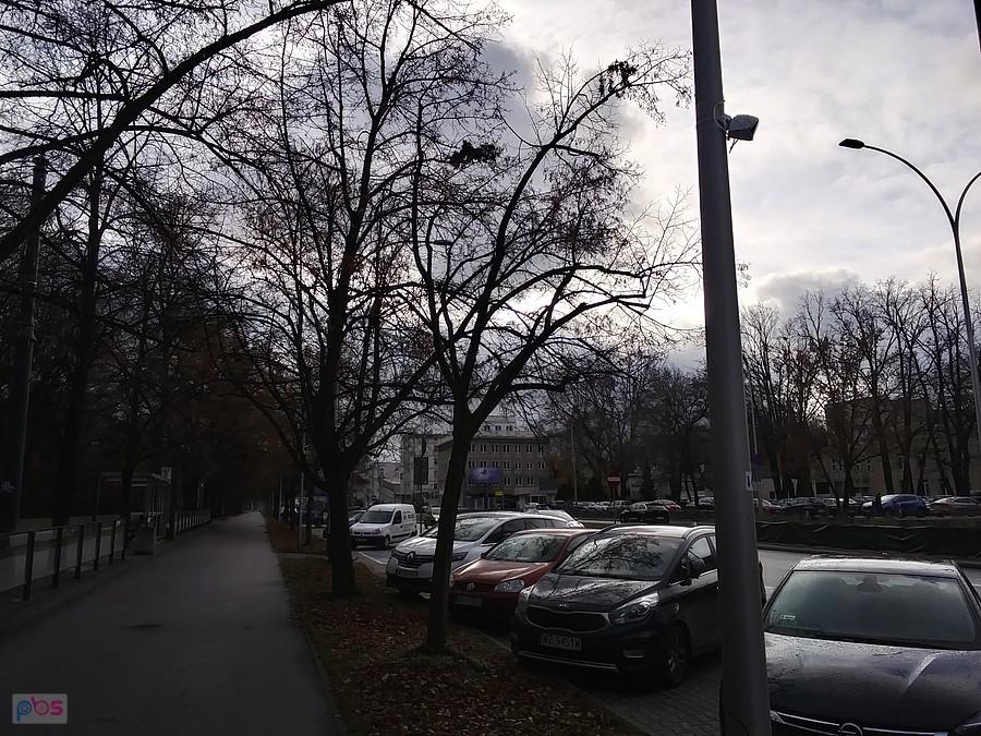 Słoneczko się przedziera