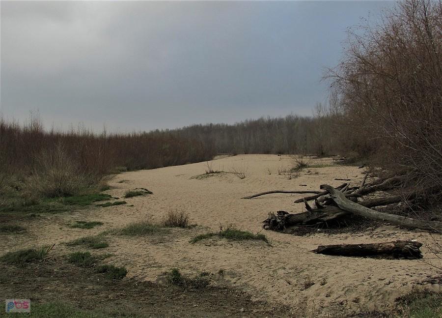 Plaża nad Wisłą