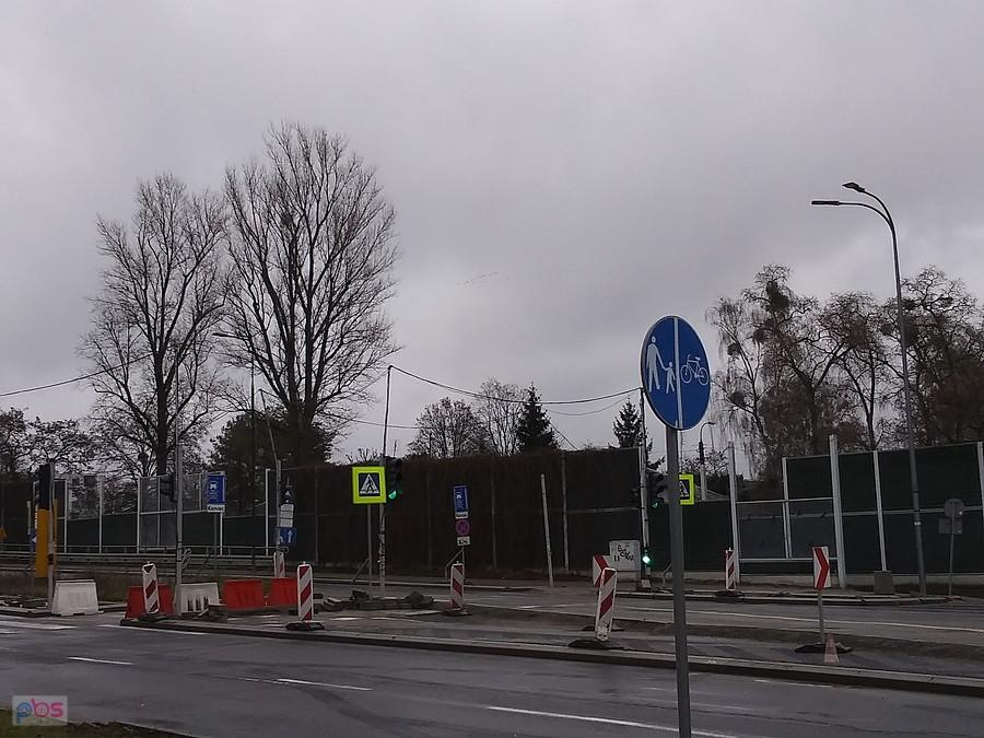 Tu miał być klucz dzikich gęsi, ale za szybko leciały. I tak już są spóźnione z odlotem