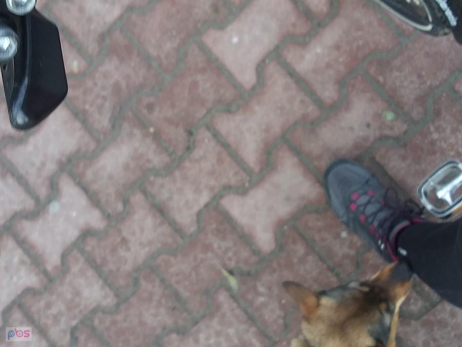 Przypadkowe zdjęcie:)