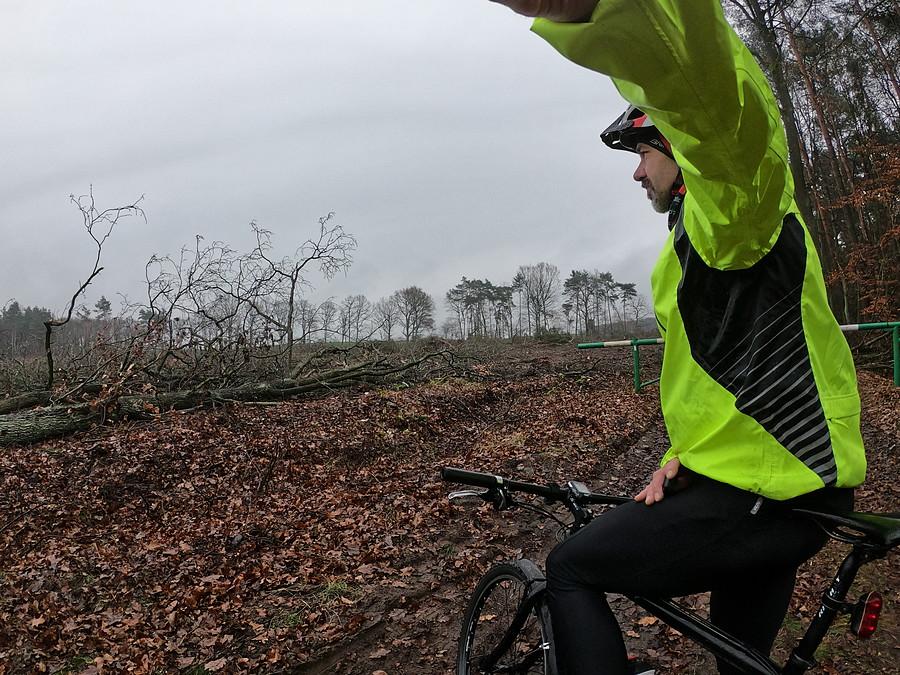 Tragedia z wycinką, a był taki klimatyczny las