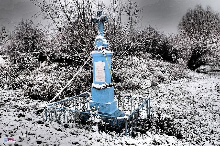Borek (gm. Gniewoszów)