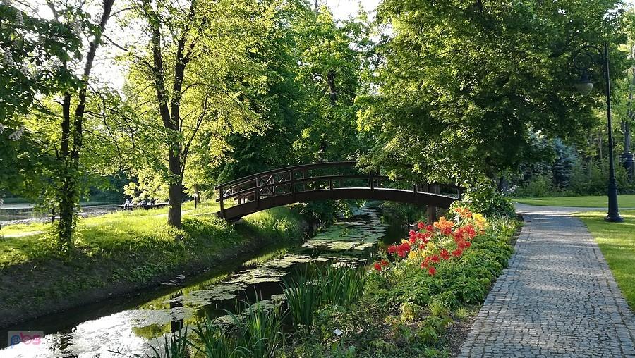 Majowy klimat nad Ślęzą