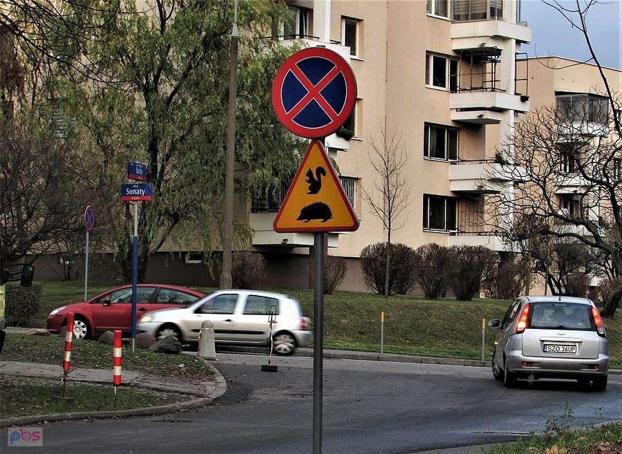 Wiewiórki i jeże mają swój znak drogowy w Dolince Służewskiej
