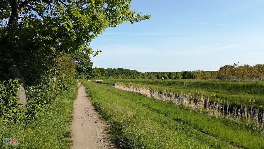 Majowo nad Ślęzą