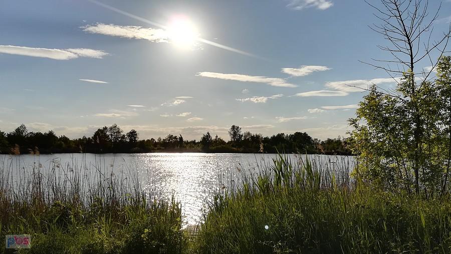 Majowa sielanka nad stawem