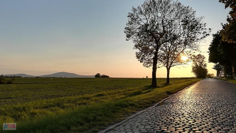 Wieczorna szosa pomiędzy Pustkowem W. a Tyńcem n/Ślęzą