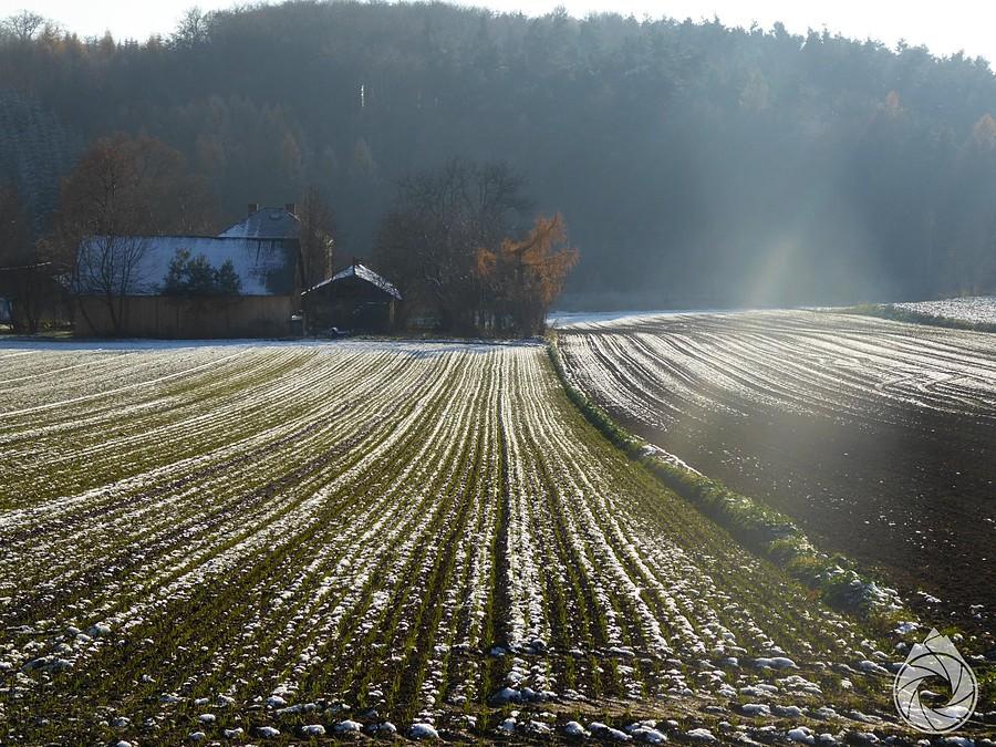 półzimoe pola