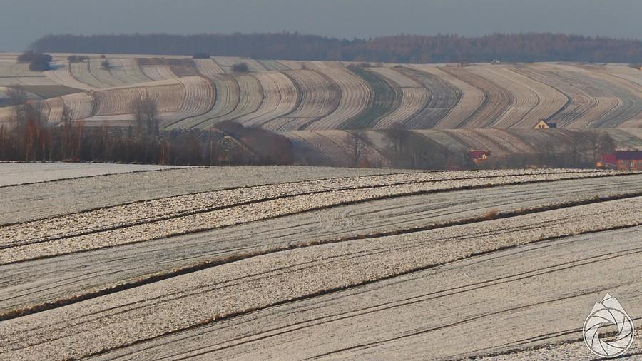 znów nad polami, z delikatnie zachodzącym słońcem