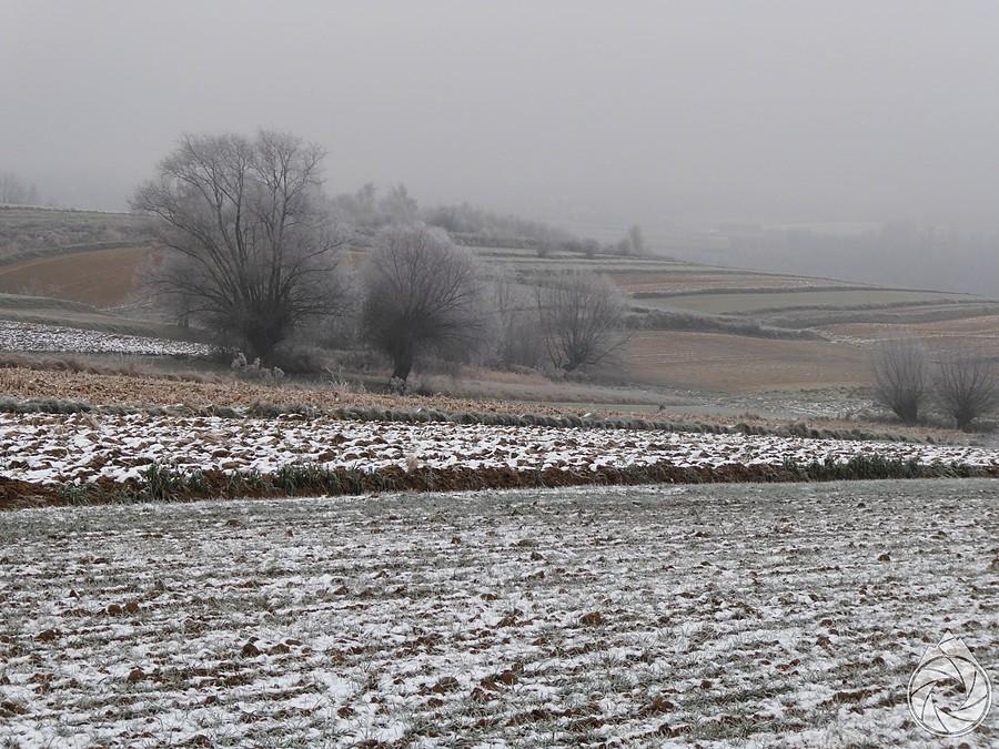 mrozik chwycił dobrze