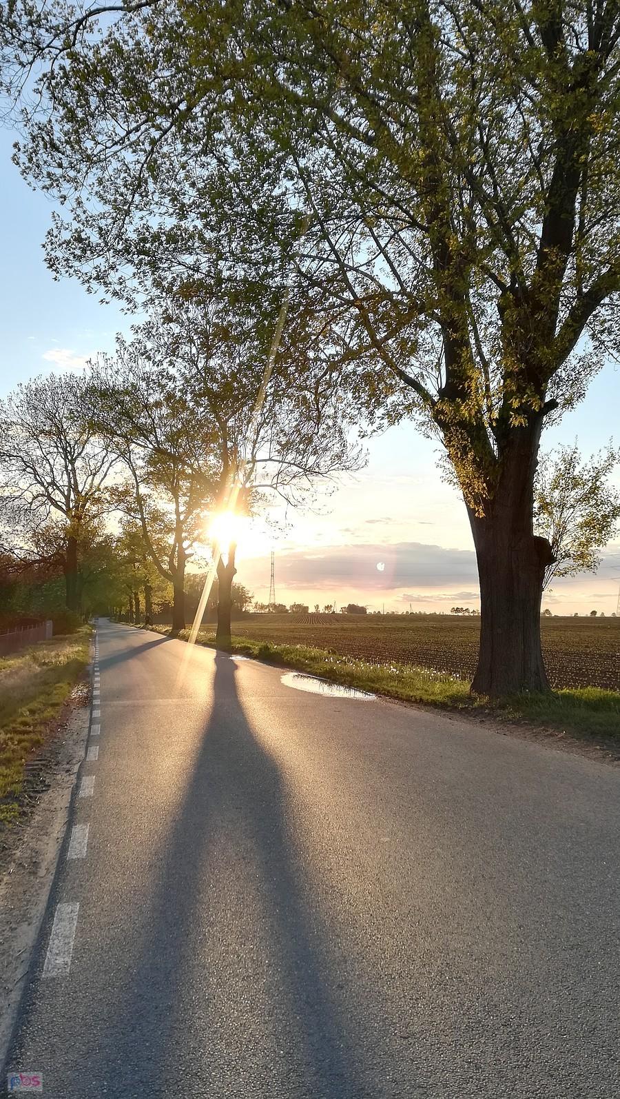 Uśmiech wieczornego słońca