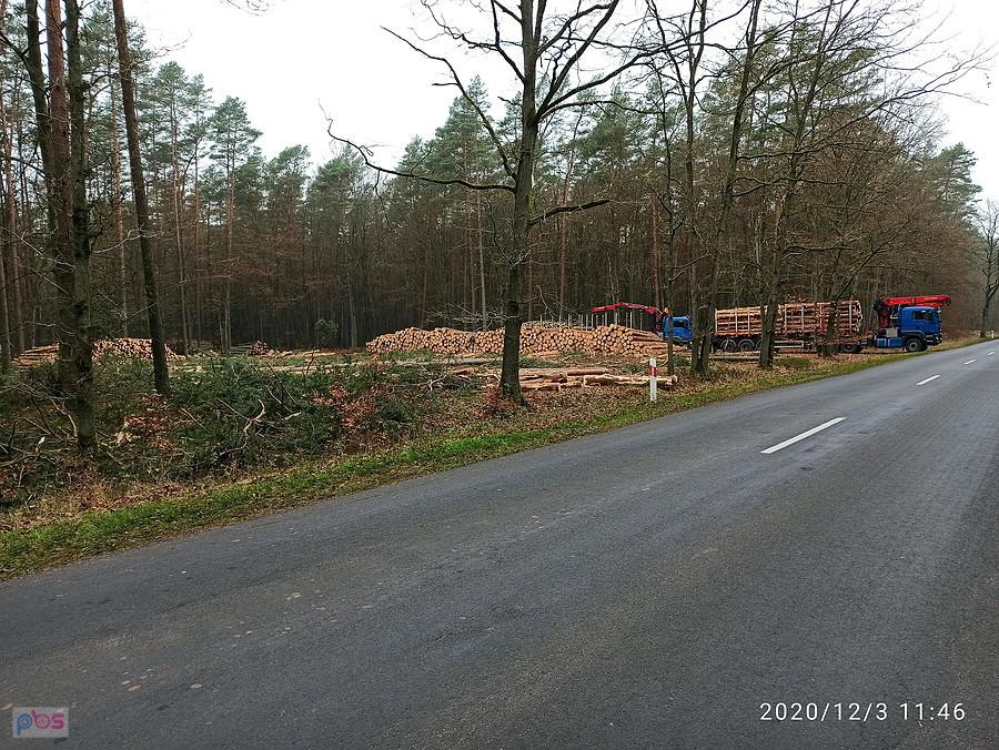 przy drodze 115 - ścięte drzewa.