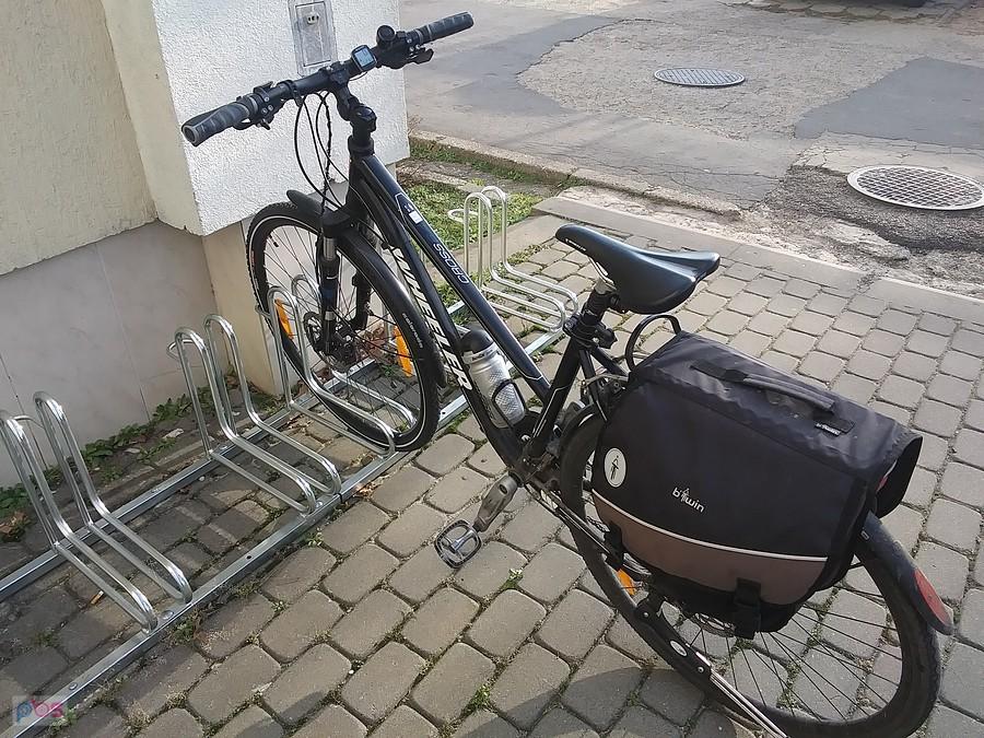 Czarnula na parkingu