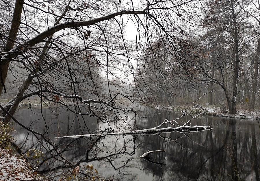 Zimowa Dębina, Poznań