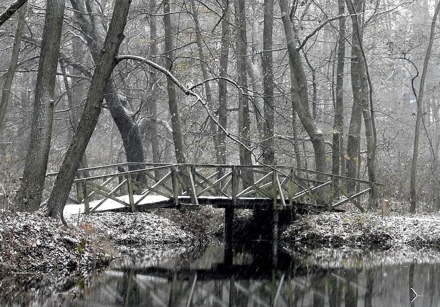 Mostek, Las Dębiński, Poznań