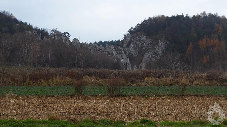 smutna, jesienna Brama Bolechowicka