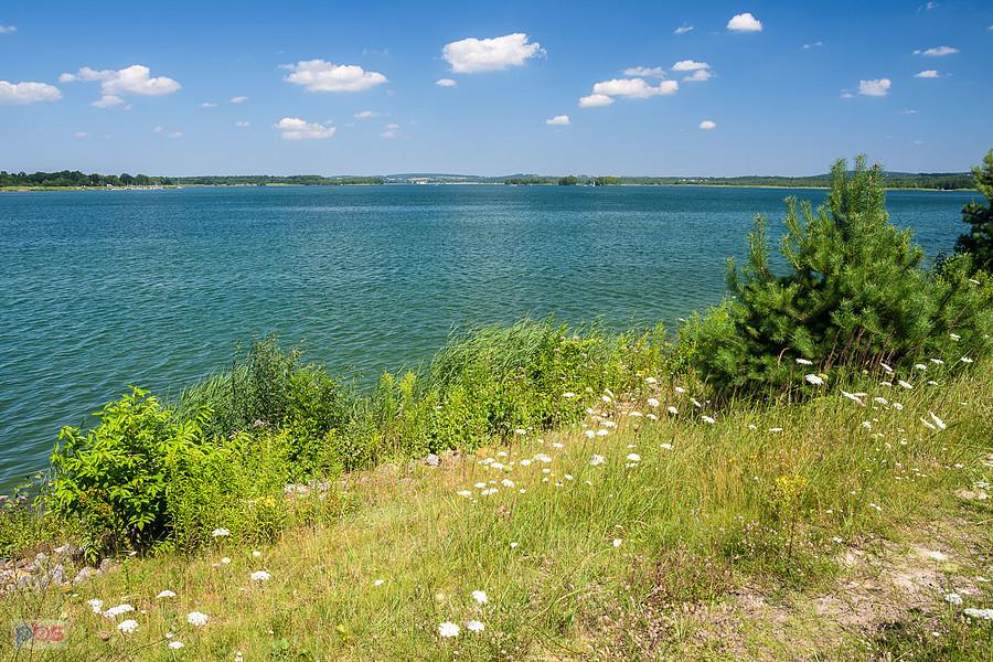 Marianki (południowy brzeg) - Dąbrowa Górnicza - zbiornik wodny Kuźnica Warężyńska (Pogoria IV)