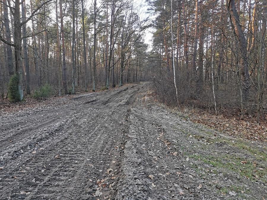 Droga czołgowa