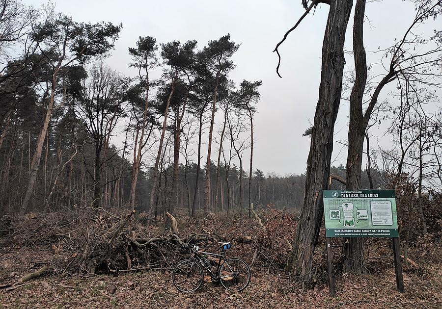 Rzeźnictwo Babki - ciąg dalszy :/