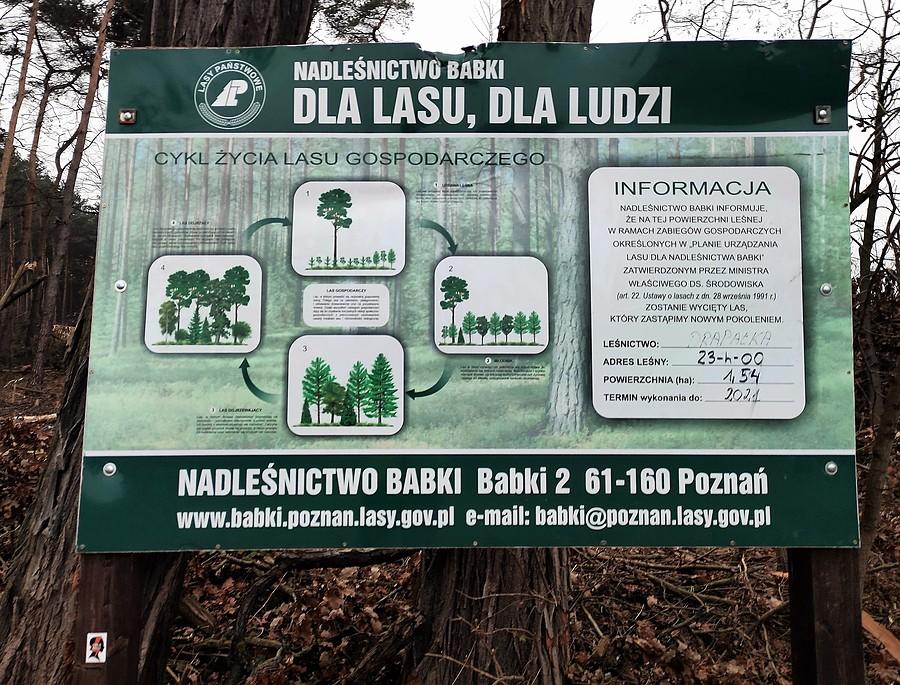 To hasło jest jak plunięcie w twarz