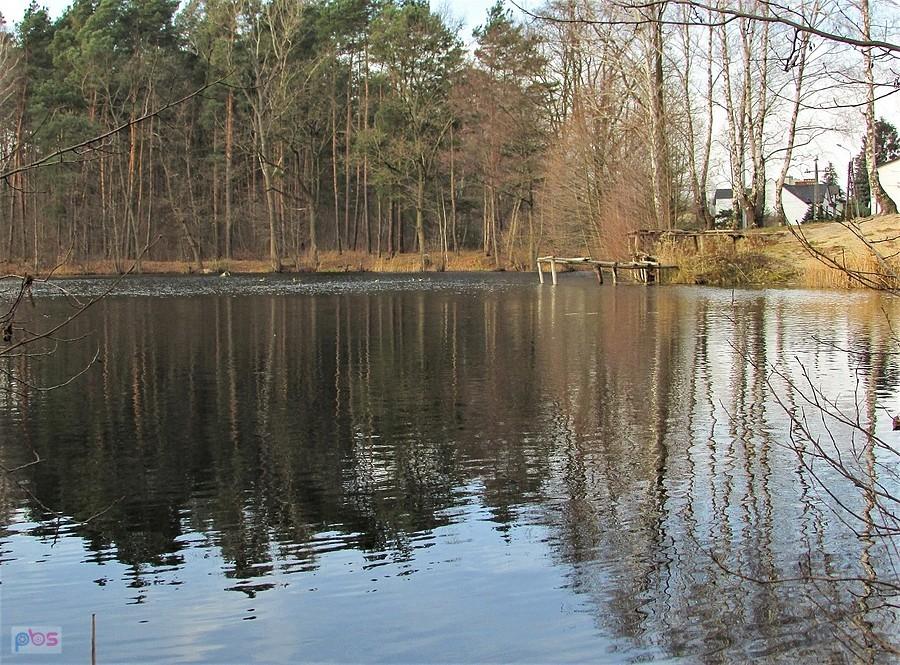 Staw sąsiaduje bezpośrednio z osiedlem mieszkaniowym