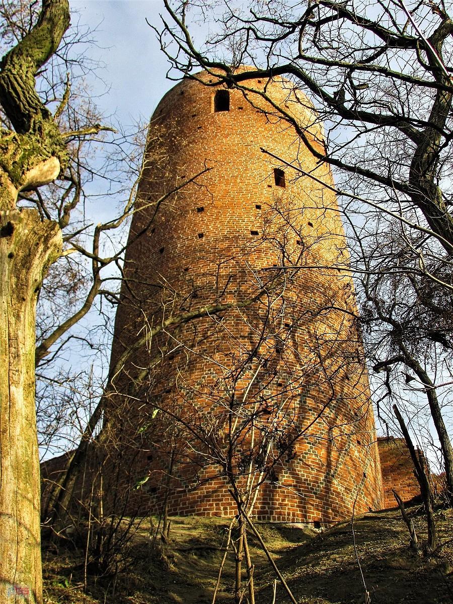 Czersk - wieża zachodnia zamku, widok od strony miasteczka