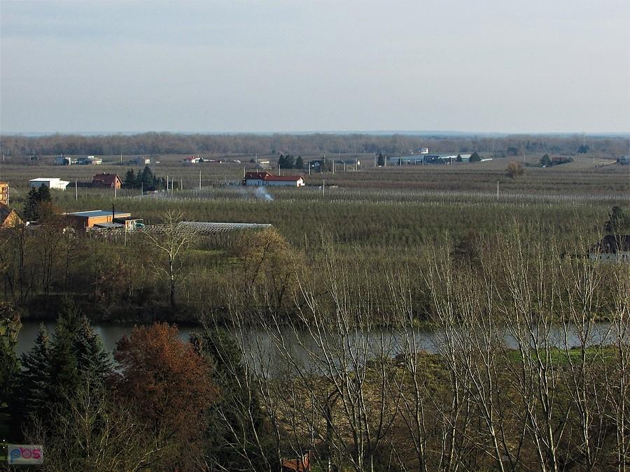 Cały teren zajmują sady - widok z zamku w Czersku