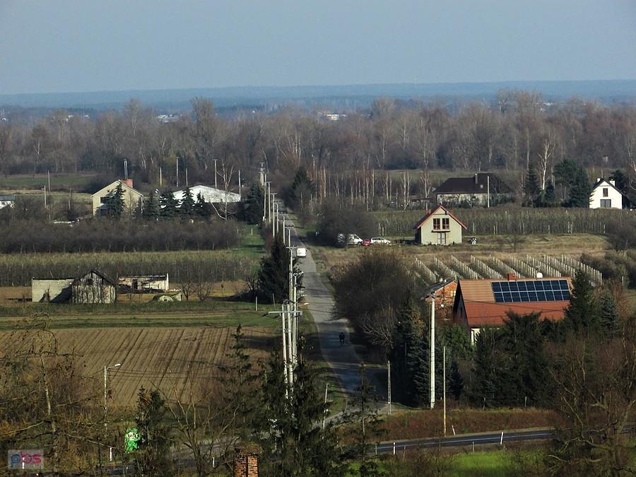 Czersk - kępa drzew na końcu to już wał wiślany
